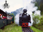 Černohorská železnice Čierny Balog (90 km)